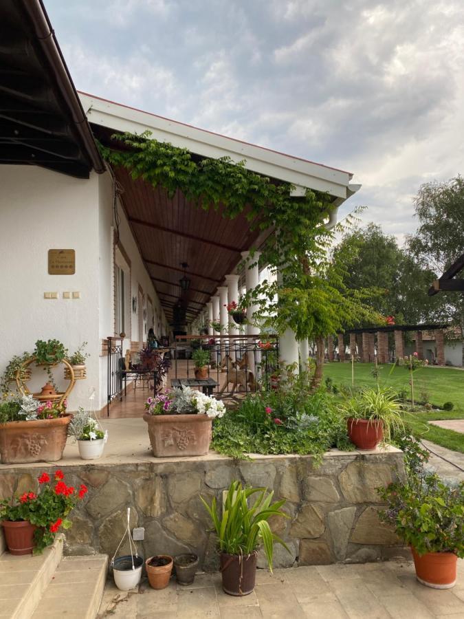 Country Club La Mesteceni Себеш Экстерьер фото